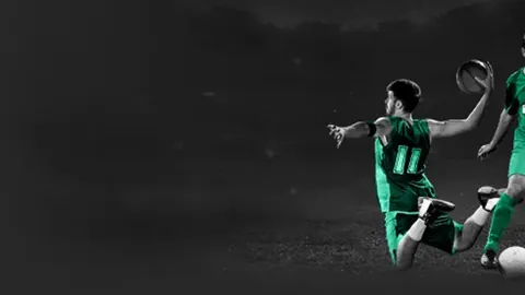 BB贝博艾弗森体育