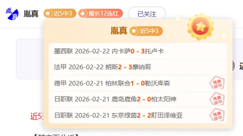 BB贝博艾弗森体育